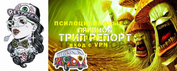 спиды Майский