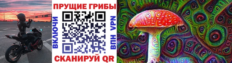 Псилоцибиновые грибы MAGIC MUSHROOMS МЕГА рабочий сайт Сураж